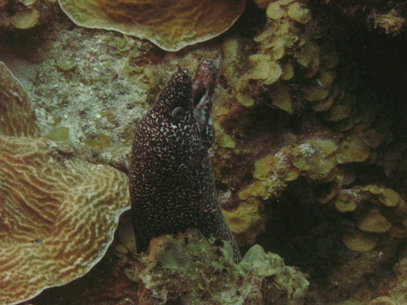 Curacao 04-12 177.JPG